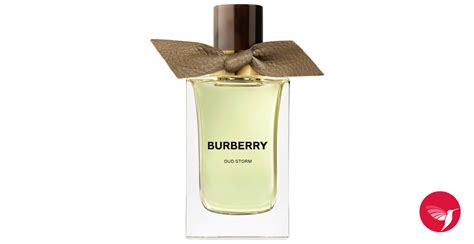 Burberry UNISEX 